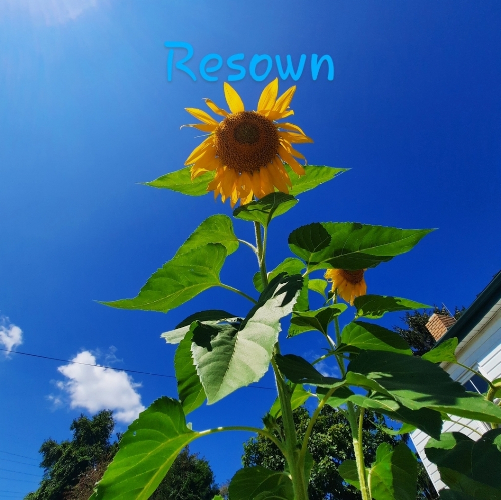 Meet your Posher, Resown